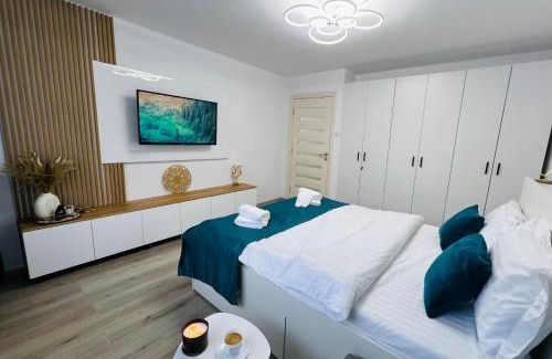 Lupeni Apartment | Child-Friendly MarbleHome in Straja/Lupeni - Rated 9.8
