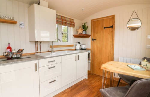 Rhayader Apartment | Pet-Friendly Retreat: Marches Way Shepherds Hut for Two