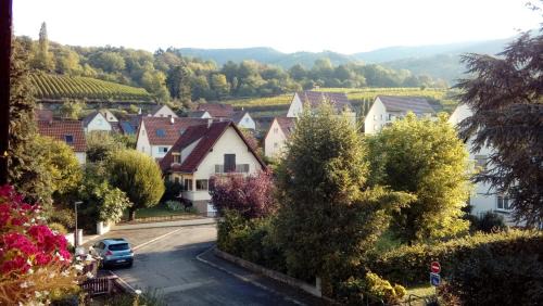 Kaysersberg-Vignoble House | Discover Marcia Donatti - Breakfast Included in Sao Paulo