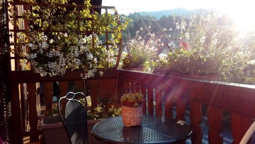 Kaysersberg-Vignoble House | Discover Marcia Donatti - Breakfast Included in Sao Paulo