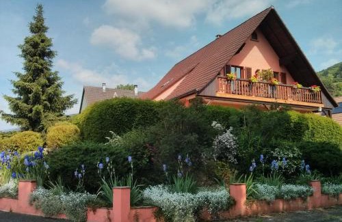 Kaysersberg-Vignoble House | Discover Marcia Donatti - Breakfast Included in Sao Paulo