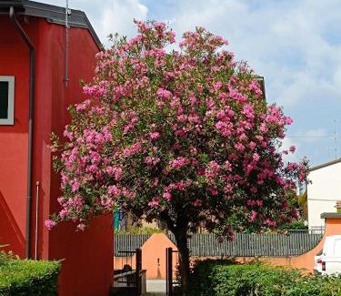 Borgo Roma Apartment | Family-Friendly Marco Apartment Near Verona Ospedale