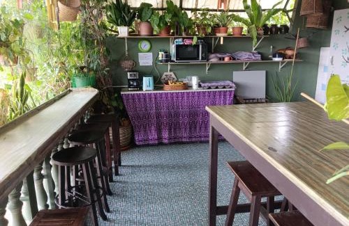 Kuching House | Pet-Friendly Marco Polo Guest House with Family Amenities