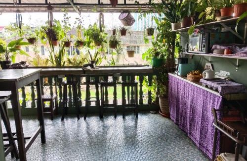 Kuching House | Pet-Friendly Marco Polo Guest House with Family Amenities