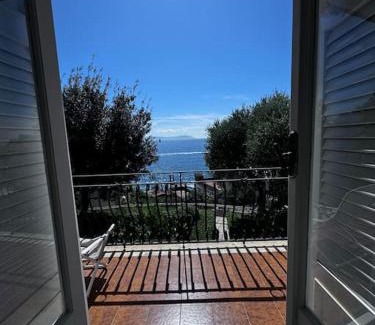 Posillipo House | marechiaro ibiscus