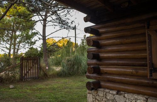 Las Gaviotas House | Pet-Friendly Retreat at Marejada – 10/10 Guest Rated Stay