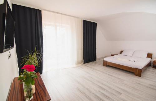 Svalyava Apartment | Pet-Friendly Retreat at Margit Sziget, Rated 9.8 by Guests