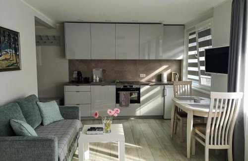 Nida Apartment | Discover Marių Studija: Pet-Friendly & Guest Rated 9.9