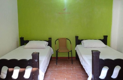 Norte Hotel | Discover Maria Mulata Hostel: Pet-Friendly with Pool Access