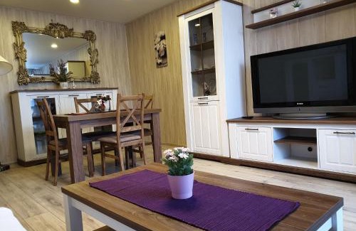 Lithuania Apartment | Cozy Marijampolė Apartments: Guest Rated 9.7/10!