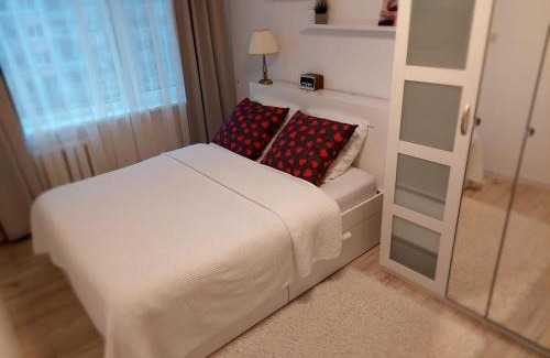 Lithuania Apartment | Cozy Marijampolė Apartments: Guest Rated 9.7/10!