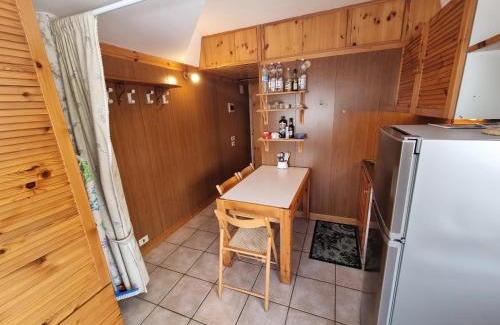 Marilleva Apartment | Pet-Friendly Panoramic Apartment in Marilleva 1400