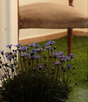 Modugno Apartment | Exceptional Family-Friendly Stay at Mariluna - Rated 9.7/10