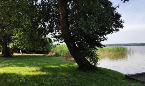 gmina Parzeczew Villa | Marina Jermak