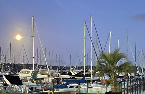 West Harbour House | Oceanfront MarinaView Room with Private Bathroom & Beach Access