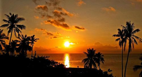 Tomia Island Resort | Eco-Friendly Retreat at Marind Dive Eco Resort, 10/10 Rating