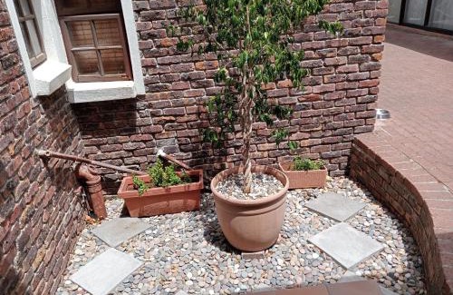 Durbanville Bed & Breakfast | Cozy Marinda's B&B with 8.9/10 Guest Reviews