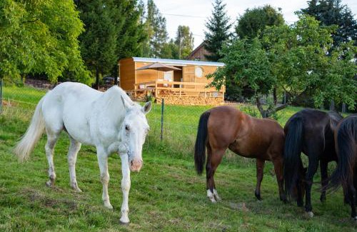Cetenov-Dehtary Other | Family-Friendly Retreat at Maringotky Na Růžku - Guest Rated 9.8