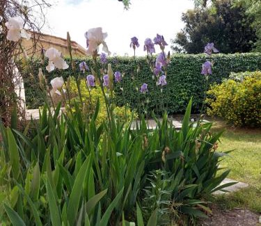 Bouchet House | Marius et Rose en Provence
