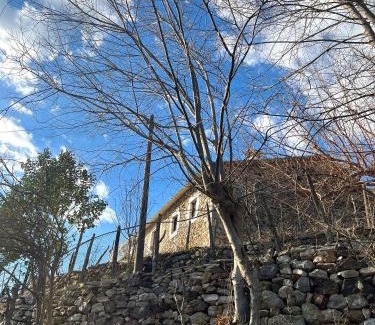 Sakës House | Mark Toma Guesthouse