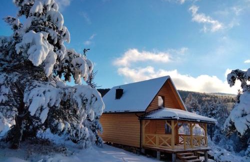 Cisna House | Top-Rated Markowa Chata: Family and Pet-Friendly Escape
