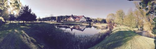 Kolonowskie Resort | Discover Markus: Pet Friendly with Breakfast Included