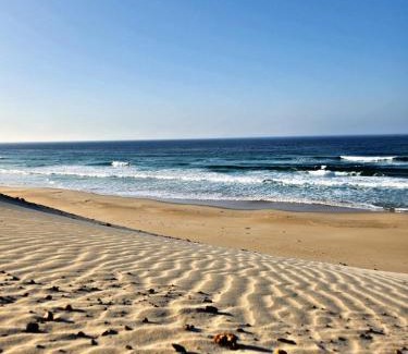 Oyster Bay House | Pet-Friendly Retreat at Marlyn on Oyster Bay Awaits You
