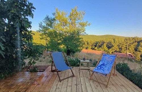 Bayindir House | Pet-Friendly Haven: Marmaric Guesthouse, Rated 10/10