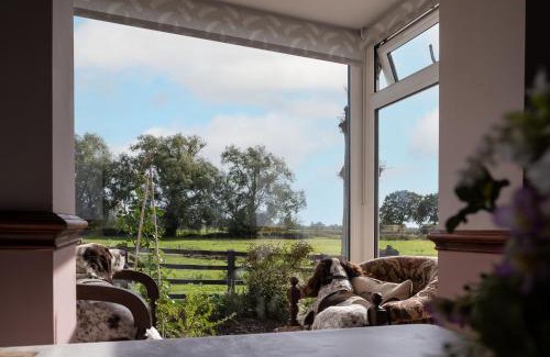 Cannington House | Discover Marsh Farm: Pet-Friendly Retreat with Breakfast