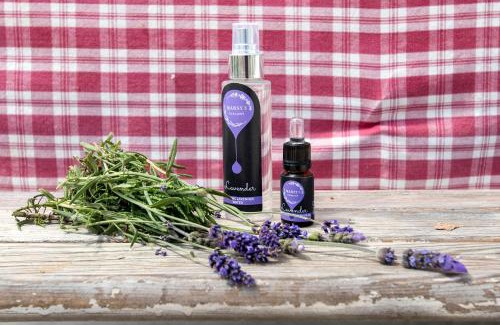 Manciano Villa | Beautiful Marsy3: Lavish Lavender Farm Retreat