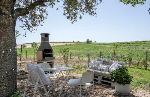 Manciano Villa | Beautiful Marsy3: Lavish Lavender Farm Retreat