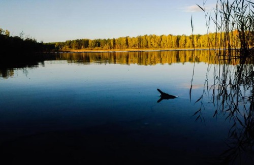 Gross Doelln Resort | Relax at Martas Gästehäuser by Groß Väter See