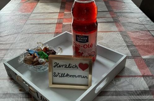 Plauen Apartment | Top-Rated Martha Apartments: Family-Friendly Comfort Awaits