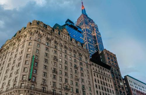 Koreatown Hotel | Discover Martinique New York: Pet-Friendly & Accessible Stay