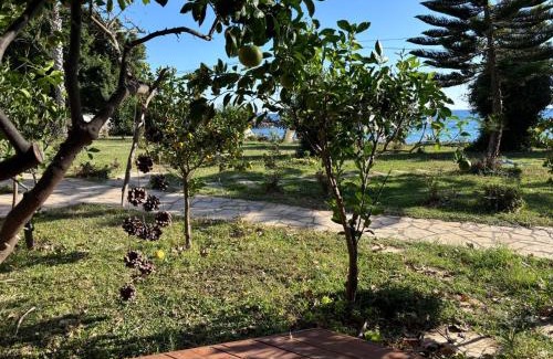 Bozyazi Hotel | Pet-Friendly Marvel Tree Hotel with Ocean View & Private Beach