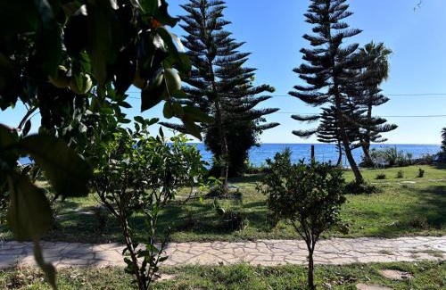 Bozyazi Hotel | Pet-Friendly Marvel Tree Hotel with Ocean View & Private Beach