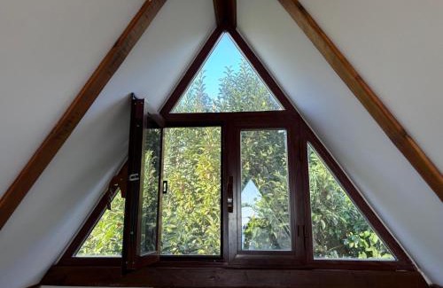 Bozyazi Hotel | Pet-Friendly Marvel Tree Hotel with Ocean View & Private Beach