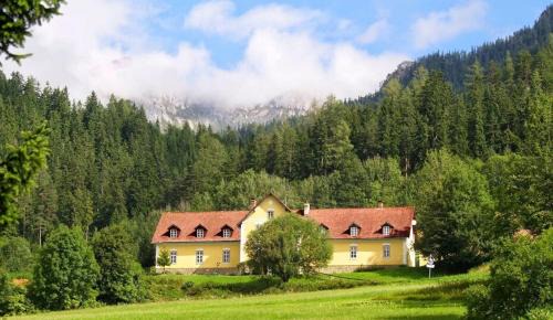 Neuberg An Der Muerz Apartment | Discover Marx Bauernhaus: Pet-Friendly Retreat with Breakfast