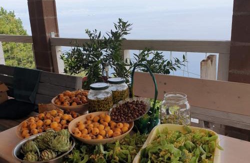Tulisevica House | Garden Retreat at Mary's: Pet-Friendly with Ocean Views