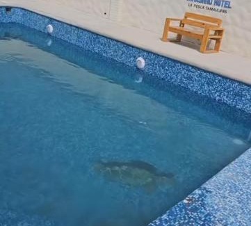 La Pesca Hotel | Seaside Family Retreat at MARYAND with Pool & Ocean Views