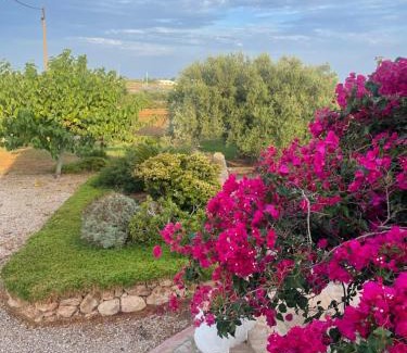 Amposta House | Pet-Friendly Paradise at Masía Mas Salut with Ocean Views