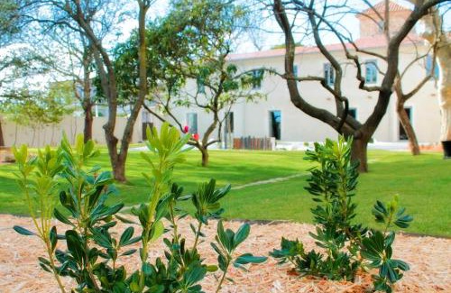 Route d'Arles Hotel | Discover Mas de Boudan: 4-Star Hotel with Top Amenities
