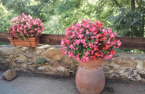 Prats-de-Mollo-la-Preste House | Discover Mas Taillet Le Camelia - Family-Friendly Retreat