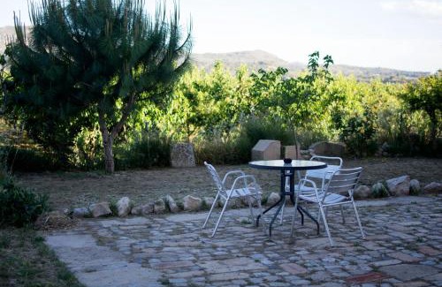 Benissanet House | Experience Mas Taniet Hotel Rural: Oceanfront Retreat Awaits
