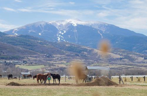Puigcerda Ski Chalet | Discover Masia d'en Cot: Pet & Child Friendly Retreat
