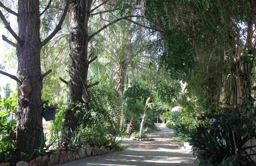 Camarles Apartment | MASIA DE TREMENDO: Family-Friendly Apartment with Terrace