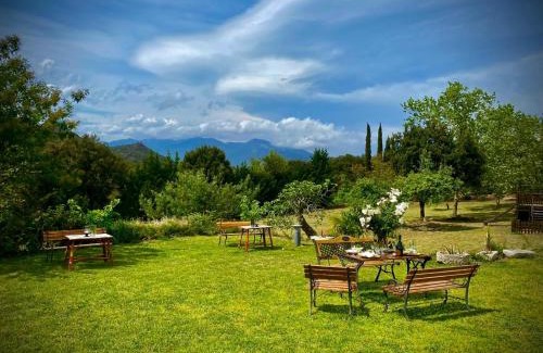 Darnius Apartment | Discover Masia Mimosa Pool House: Pet-Friendly Oasis