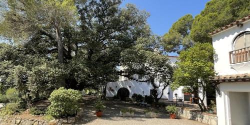 Valls Villa | Discover Masia Rural Les Alsines: Pet-Friendly Oceanfront Escape