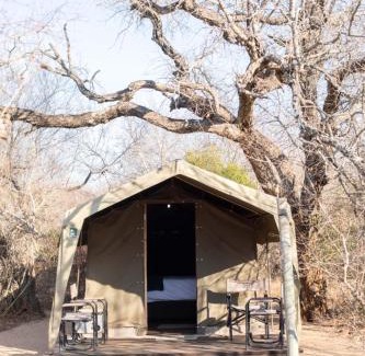 Thorny Bush Game Reserve Other | Discover Mzsingitana Tented Camp with Oceanfront Views