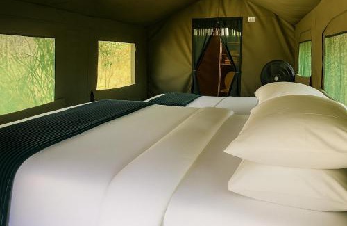Thorny Bush Game Reserve Other | Discover Mzsingitana Tented Camp with Oceanfront Views